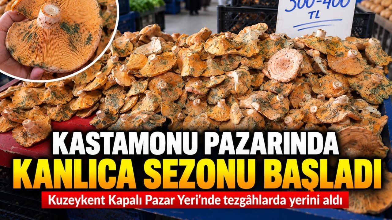 Kastamonu’da kanlıca pazarda yerini aldı! İşte fiyatı