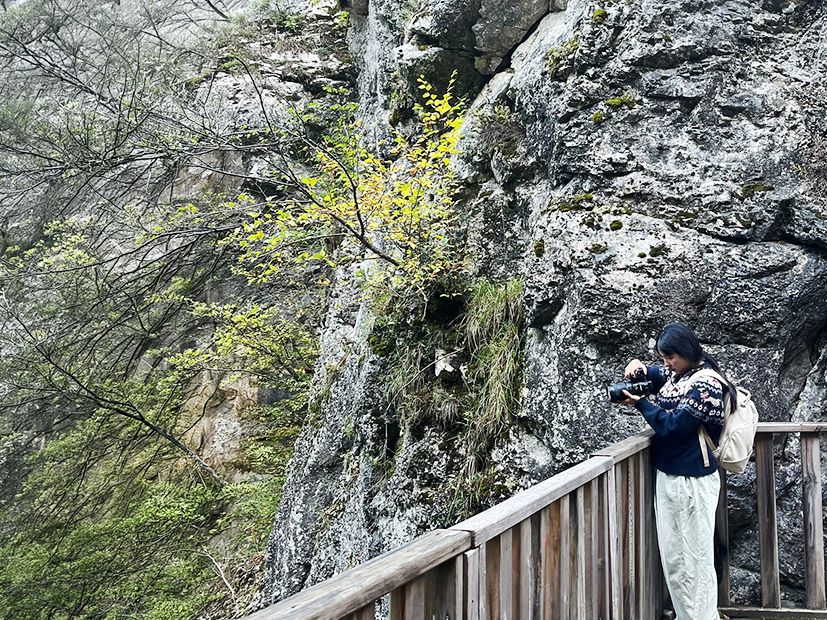 Kastamonu’nun tanıtımı, Güney Koreli fenomenlere emanet