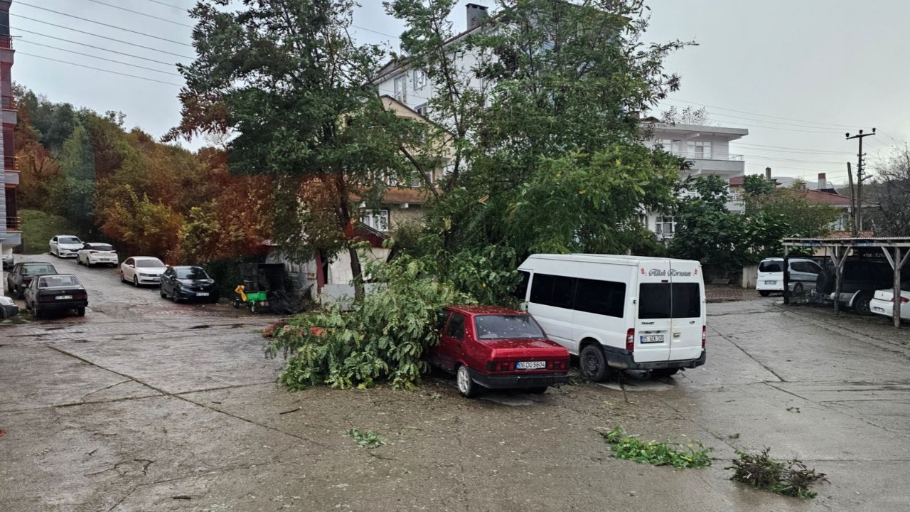 Cide'de fırtına: Çatılar uçtu, ağaçlar devrildi!