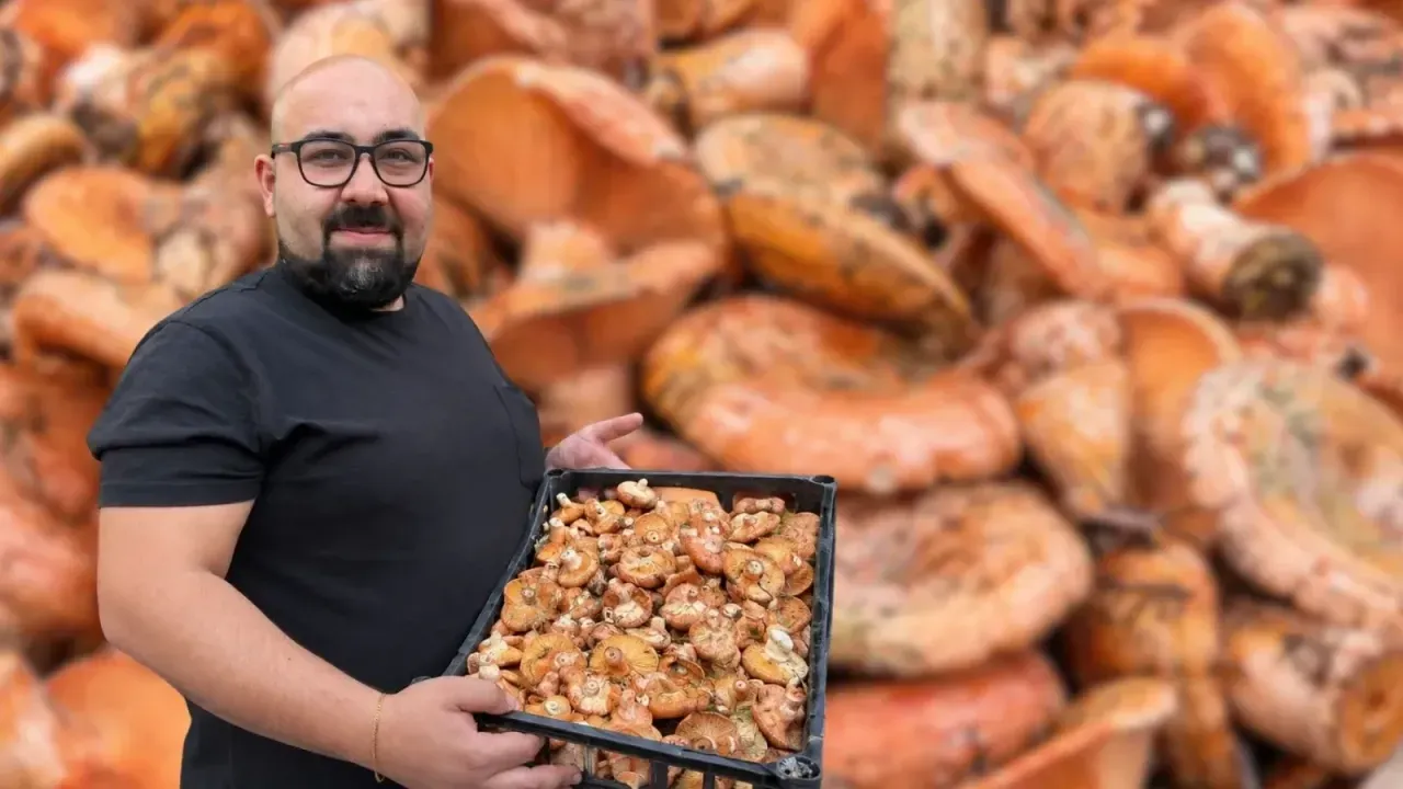 1 ton kanlıca mantarı meydana indi