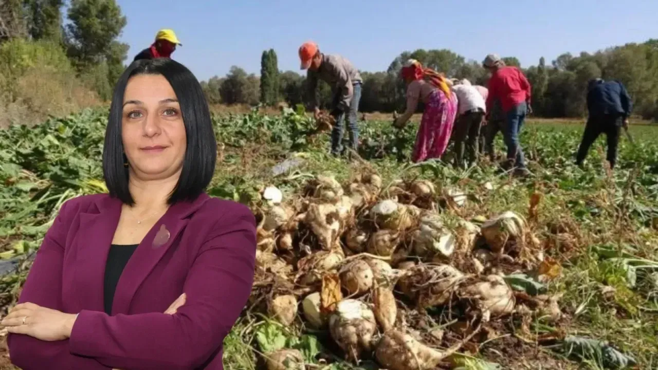 Kastamonu’da pancarda fiyat belirsizliğine tepki!