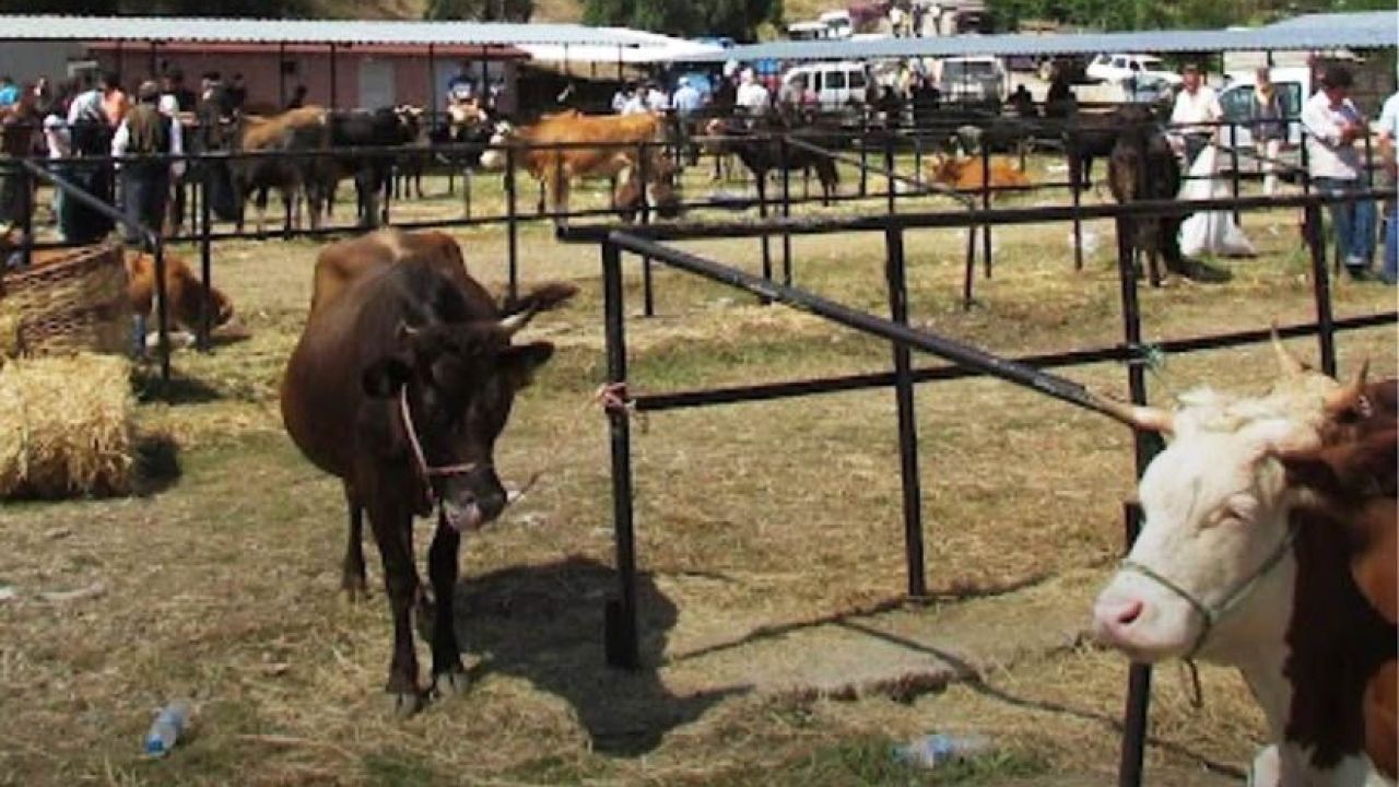 Taşköprü Hayvan Pazarı süresiz kapatıldı