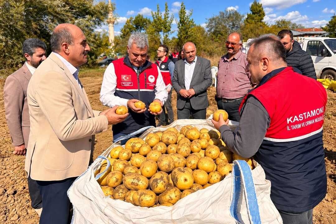Kastamonu’da tarladan altın değerinde hasat!