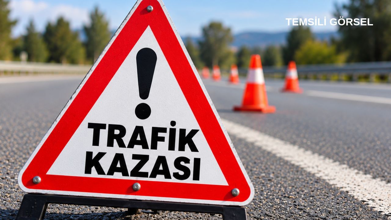Kastamonu'da kaza: Yaya hayatını kaybetti