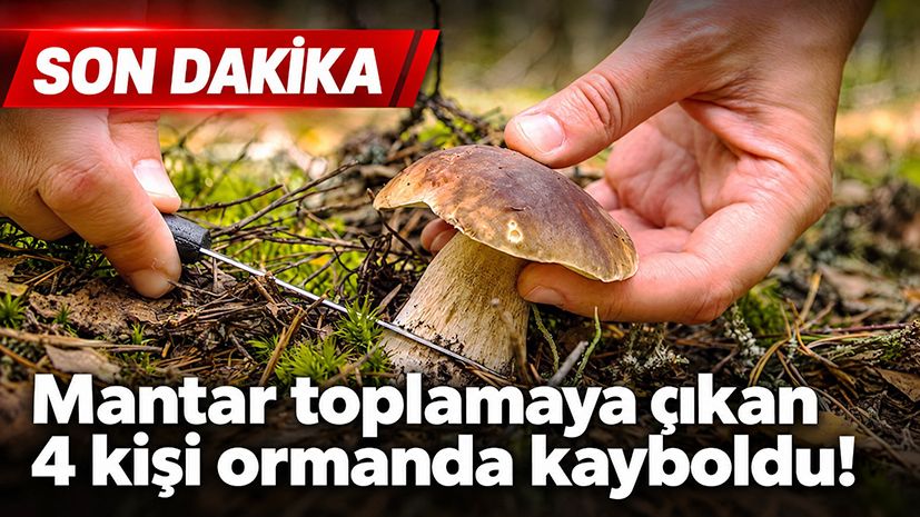 Mantar toplamaya çıkan 4 kişi ormanda kayboldu!