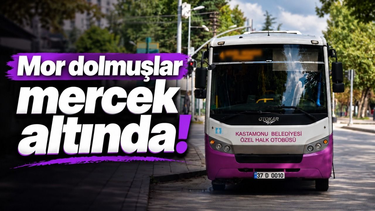Mor dolmuşlar mercek altında!