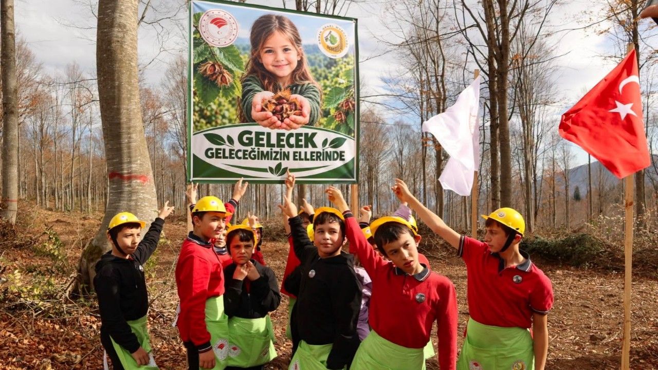 Minik eller ormanların geleceği için tohum ekti