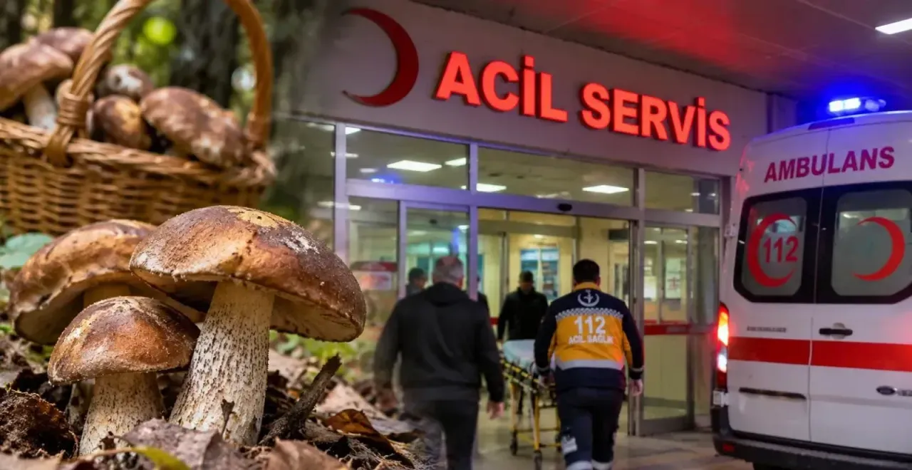 Kastamonu’da 5 kişi hastanelik oldu! İşte detaylar