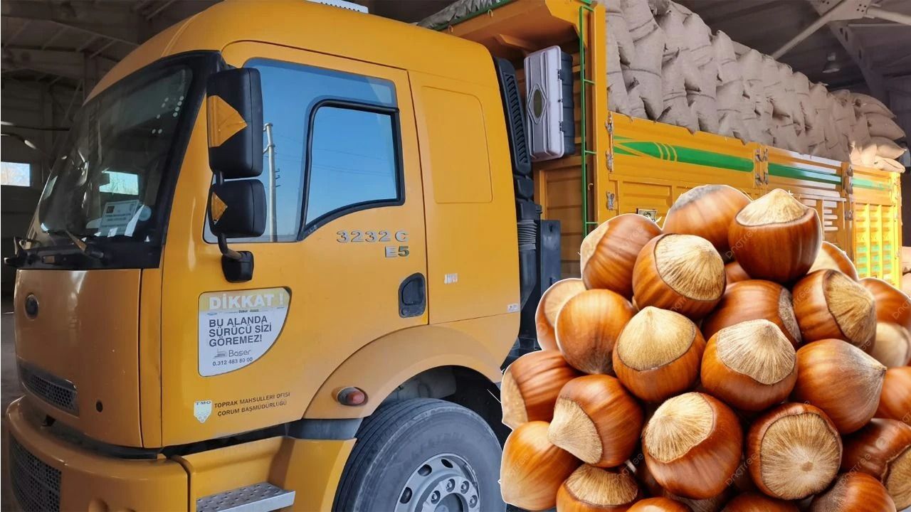TMO’dan Kastamonu’da fındık üreticisine dev destek!