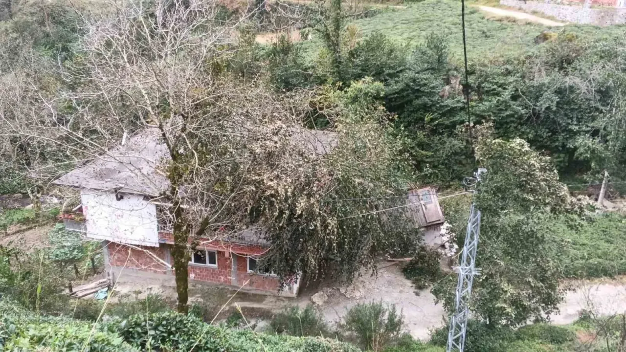Kuvvetli rüzgâr nedeniyle devrilen ağaç evin çatısına düştü