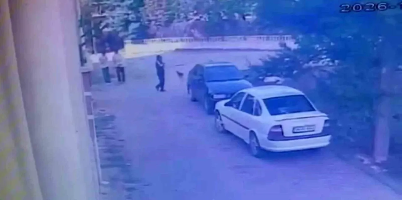 Park halindeki otomobilden saat çaldı