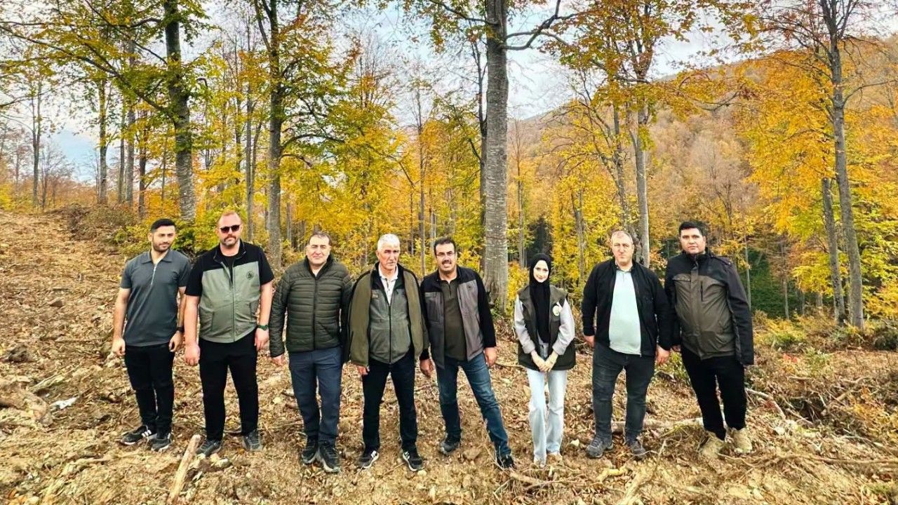İnebolu doğal gençleştirmede bölge birincisi oldu