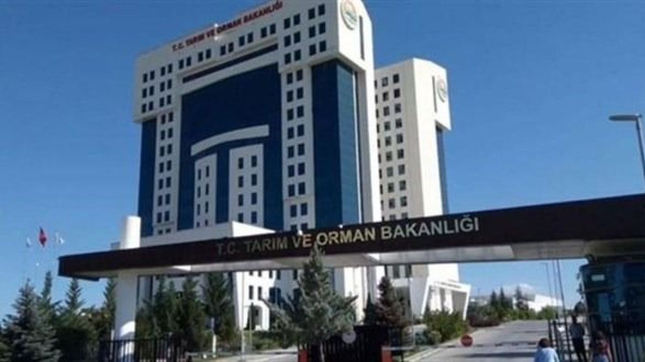 Tarım ve Orman Bakanlığı 13 personel alacak!