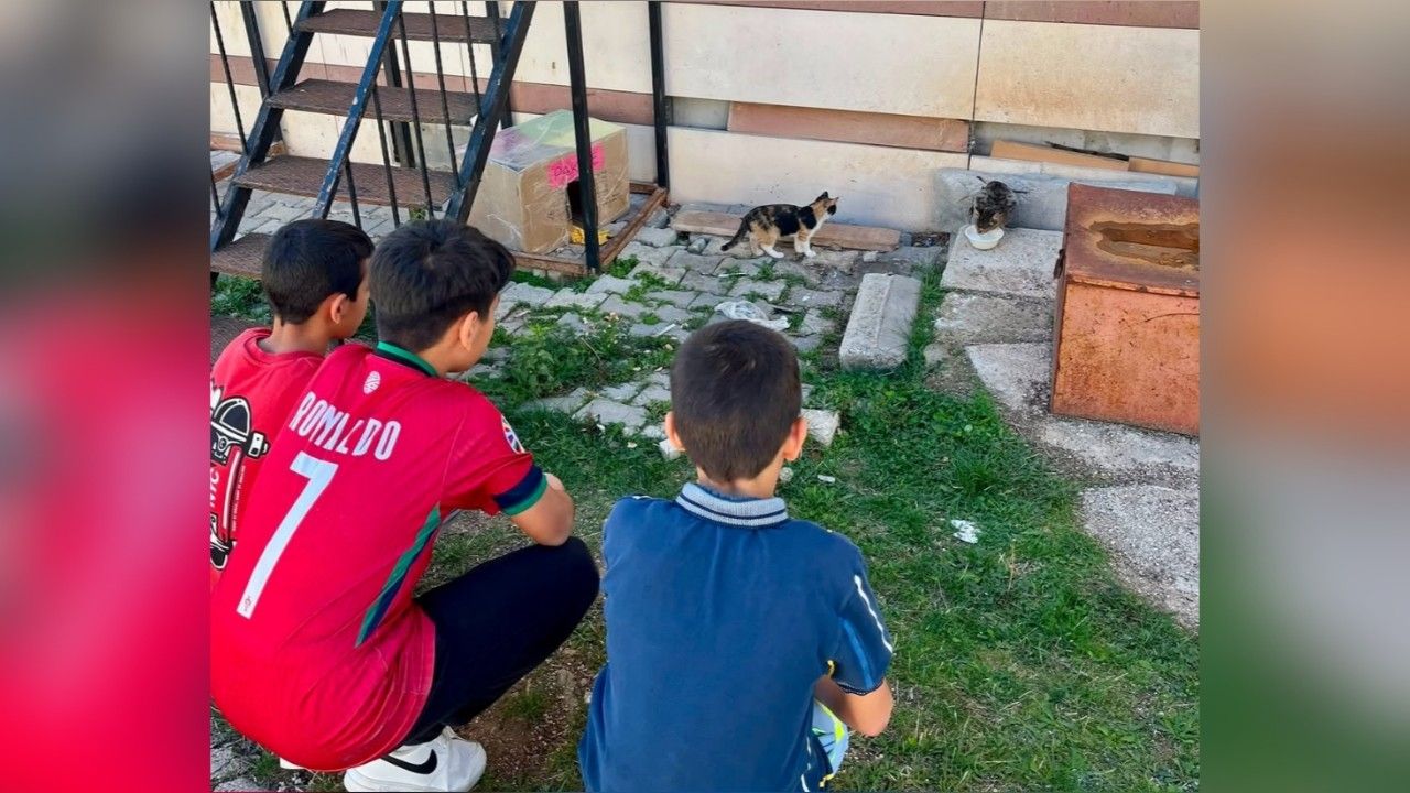 Kastamonu’da çocuklardan sokak hayvanlarına anlamlı destek