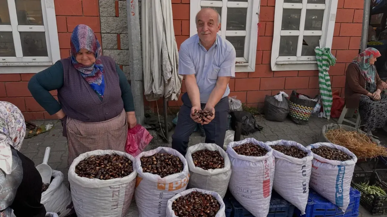 Kastamonu’da kestane bereketi!